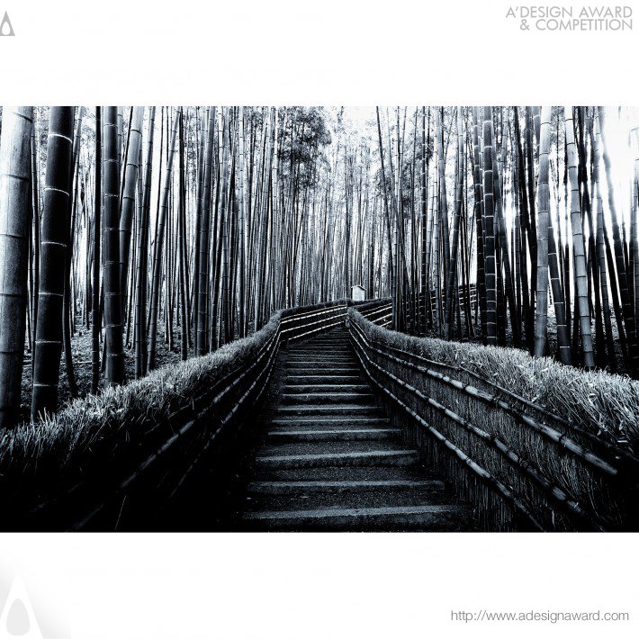 bamboo-forest-by-takeo-hirose-4