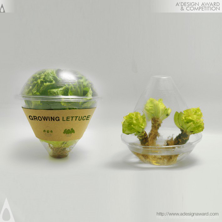 Eco Lettuce Multifunctional Food Packaging by Ning Sun