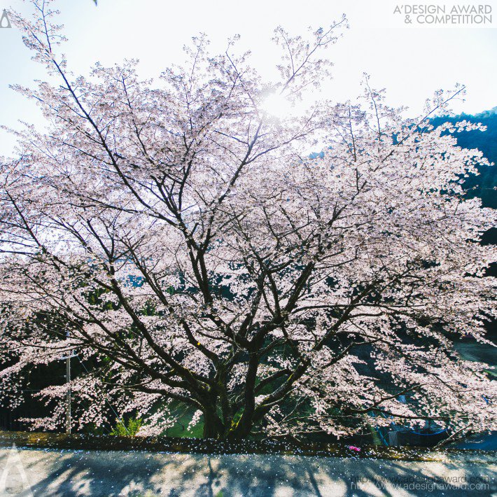 Daisuke kawashima Photo