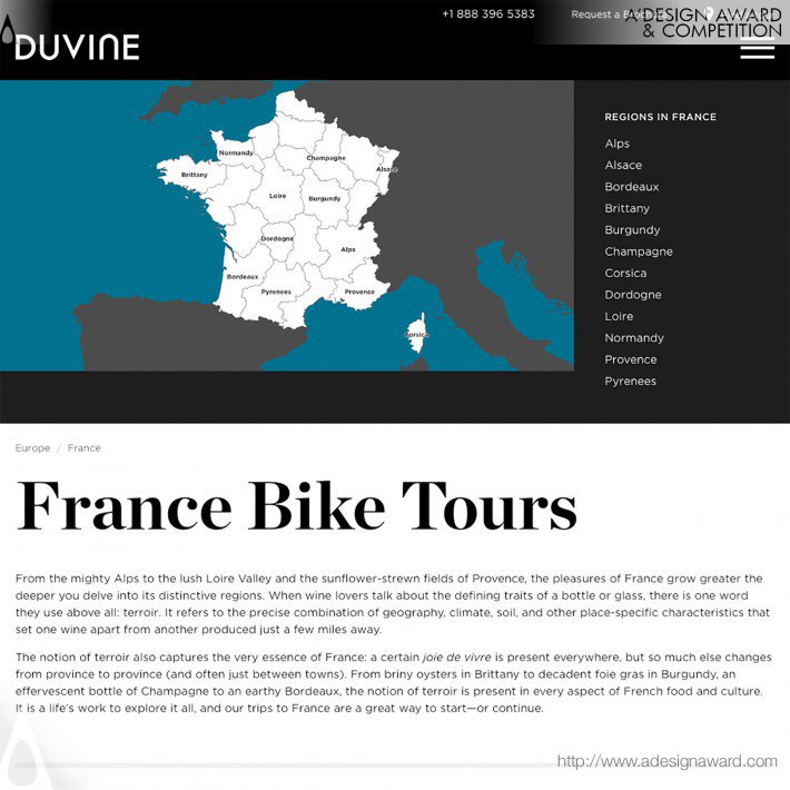 Tank Design - Duvine Website Redesign