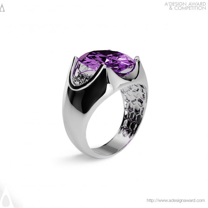 Ring by Sina Moloudnezhadnaghadeh