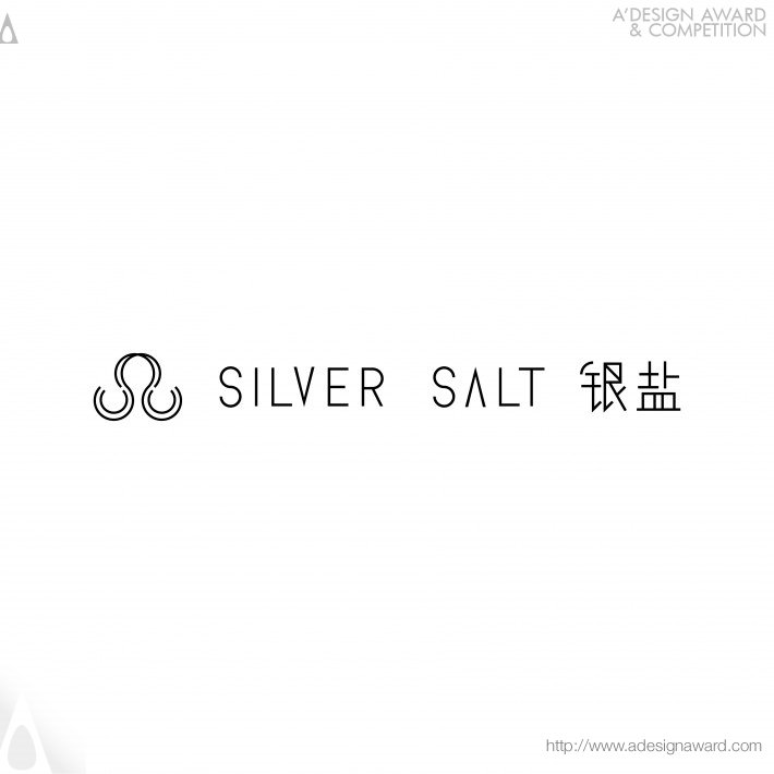 Silver Salt Corporate Identity by Lesser Fullness Design