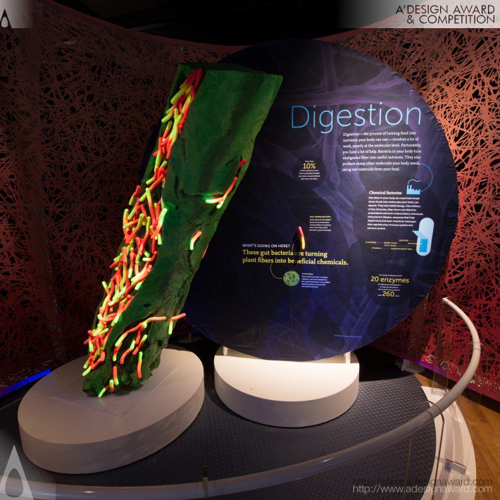 the-secret-world-inside-you-by-amnh-3d-design-team-2