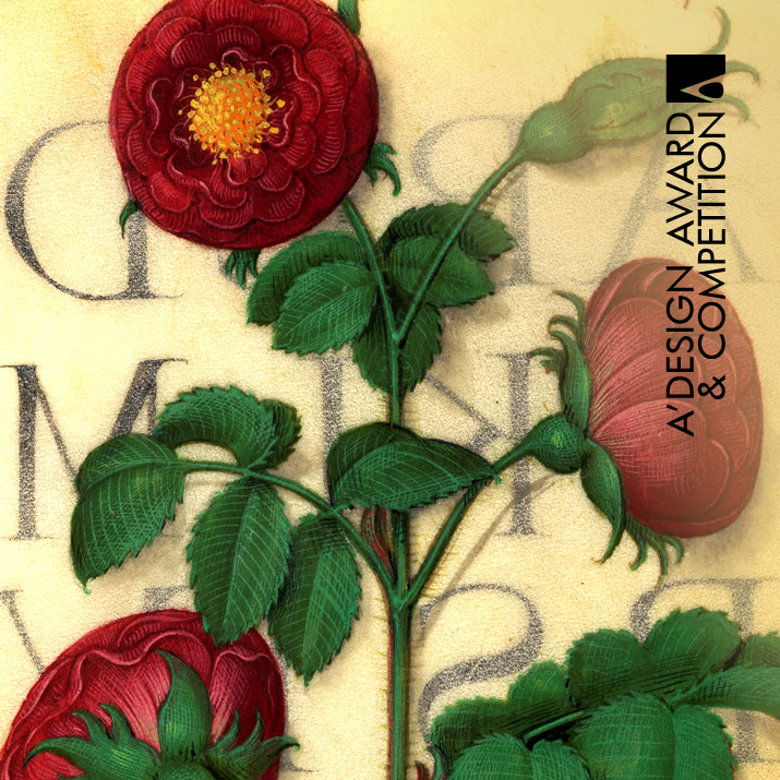 authority content publication