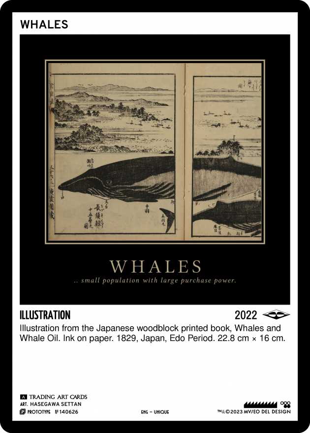 TAC 140626 Whales