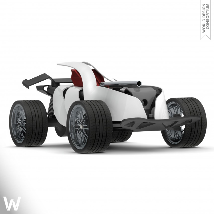 Toybic Personalized RC car