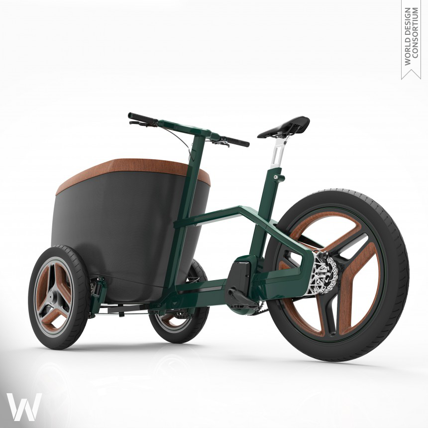 carQon Electric bicycle